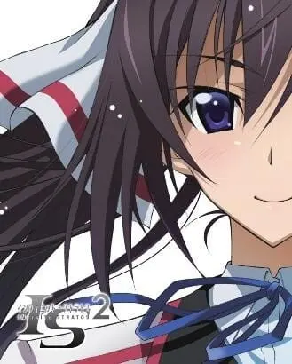 Бесконечные небеса 2: Воспоминания о лете / IS: Infinite Stratos 2 - Hitonatsu no Omoide